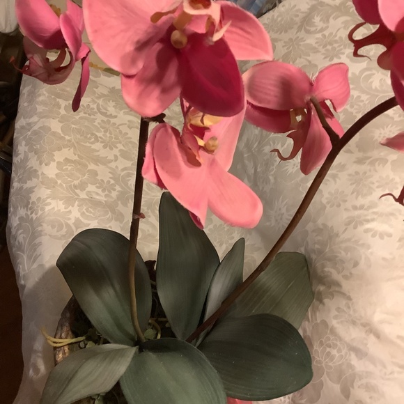 Artificial Tropical Exotic Pink Orchid Plant 30” height  25” base circumference - Picture 6 of 12